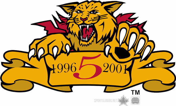 moncton wildcats 2001 anniversary logo iron on transfers for T-shirts